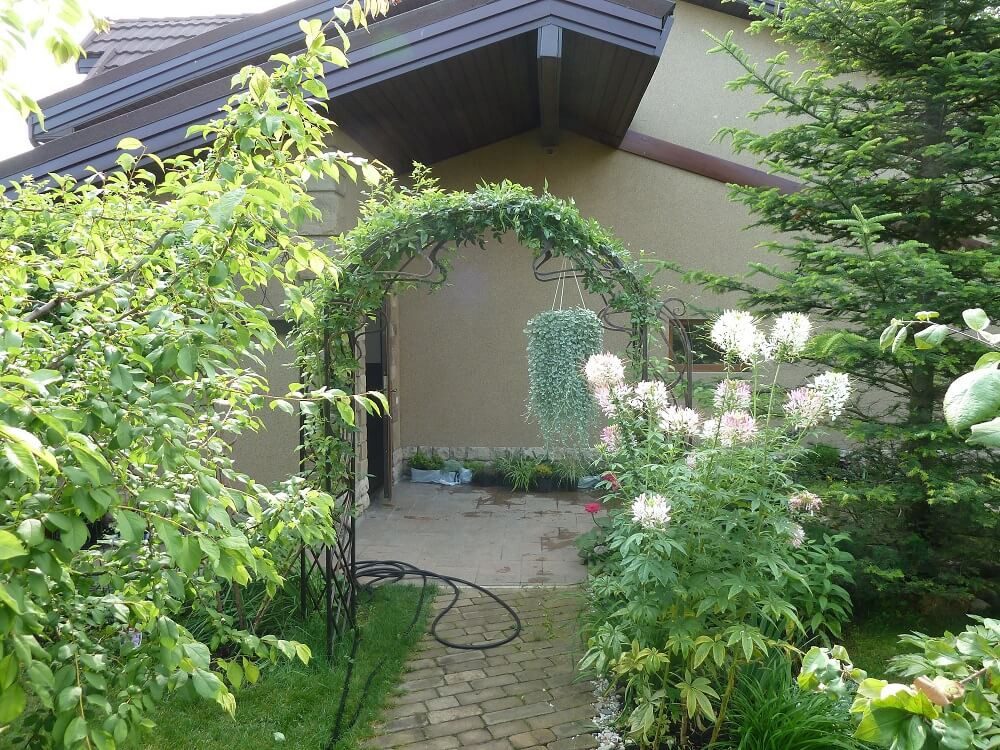 Фотография товара Кованая арка для цветов
